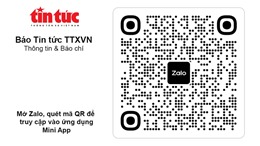 Báo Tin tức ra mắt Mini App trên nền tảng Zalo, giúp độc giả đọc thông tin nhanh, thuận tiện 
