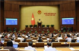 Quốc hội thảo luận kế hoạch phát triển kinh tế xã hội và ngân sách Nhà nước 