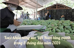Bức tranh kinh tế Việt Nam từ góc nhìn Nghị trường