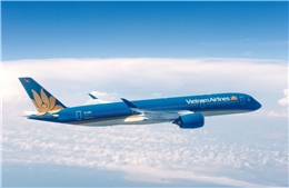 Vietnam Airlines tham gia Diễn đàn Doanh nghiệp Ấn Độ, mở rộng mạng lưới và tăng cường kết nối hai nước