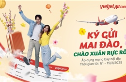 Đón xuân rực rỡ với dịch vụ vận chuyển mai, đào Tết 2025 cùng Vietjet