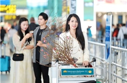 Vietnam Airlines vận chuyển mai đào Tết Nguyên Đán Ất Tỵ 2025