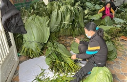 Làng bánh chưng Tranh Khúc rộn rã những ngày giáp Tết