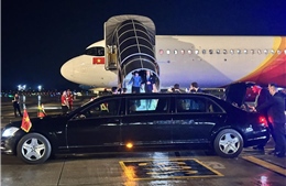 Tổng thống Litva đến Hà Nội trên chuyên cơ Vietjet