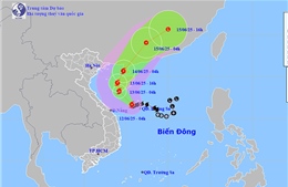 Tập trung ứng phó với bão số 1, bảo đảm an toàn các công trình xây dựng