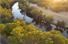 Thưởng thức rượu vang hảo hạng tại thung lũng Swan, Tây Australia