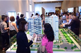 Cảnh báo tình trạng đào tạo môi giới bất động sản trái phép