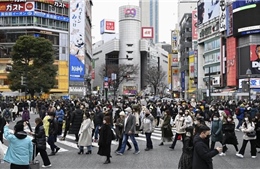 Nhiều người Nhật Bản không muốn nghỉ phép vì thấy không thoải mái