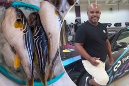 Người đàn ông tử vong vì ăn phải cá nóc có lượng độc đủ giết chết 30 người