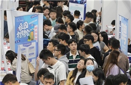 Thanh niên Trung Quốc đối mặt nguy cơ bị lừa tiền khi tìm việc làm qua mạng