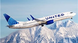 Máy bay của United Airlines phải quay đầu vì va vào chim