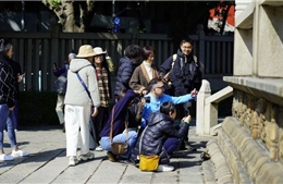 Trào lưu mời giáo sư hàng đầu làm hướng dẫn viên du lịch ở Trung Quốc