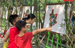 Toàn cảnh đất nước sau sáp nhập sống động qua những bức tranh da 