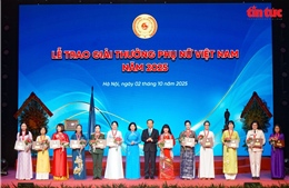 Nghệ nhân Nguyễn Thị Hải: Hồi sinh giống chè cổ, đưa hương trà quê vươn xa