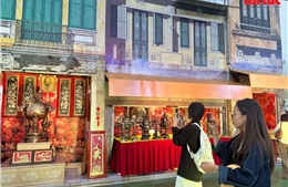 Con đường mùa thu &#39;gây thương nhớ&#39; tại Hội chợ mùa Thu 2025