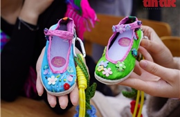 Gen Z và hành trình giữ hồn văn hóa dân tộc Giáy