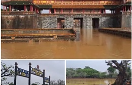 Khắc phục hậu quả thiên tai, bảo vệ di sản văn hoá