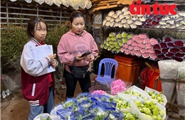 Những người không có ngày nghỉ Tết