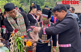 Đặc sắc nghi thức thu thóc cầu mùa bội thu của người Khơ Mú