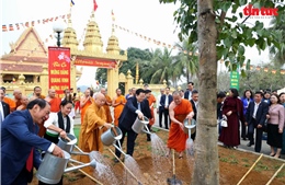 Rộn ràng 'Sắc Xuân trên mọi miền Tổ quốc' 2026: Tôn vinh bản sắc, củng cố niềm tin nhân dân