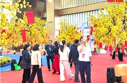 Sắc xuân phương Nam rộn ràng tại Hội chợ Mùa Xuân 2026