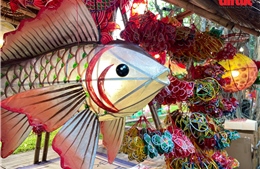 ‘Vườn Ánh sáng’ thắp sáng di sản tại Văn Miếu – Quốc Tử Giám