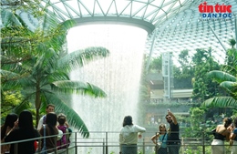 Chiêm ngưỡng thác nước nhân tạo lớn nhất thế giới giữa sân bay Singapore