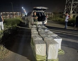 Tây Ninh: Liên tiếp triệt phá các vụ vận chuyển thuốc lá ngoại nhập lậu số lượng lớn