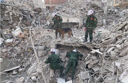 Lực lượng cứu hộ Quân đội nhân dân Việt Nam xác định 15 vị trí có nạn nhân tại Thổ Nhĩ Kỳ