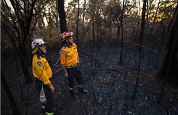 Australia: Bang New South Wales &#39;gồng mình&#39; ứng phó 70 vụ cháy rừng xảy ra trong ngày