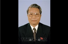 Nguyên Chủ tịch nước Trần Đức Lương từ trần
