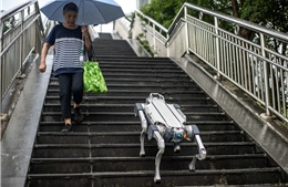 Trung Quốc sử dụng AI để nâng cấp cuộc sống người dân