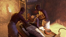 Ai Cập tìm thấy thành phần dùng ướp xác bị thất lạc trong cổ vật 2.500 năm tuổi