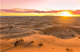 10 sự thật thú vị về sa mạc Sahara