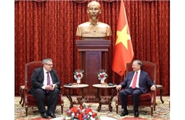 Quan hệ Việt Nam - Liên bang Nga tiếp tục phát triển mạnh mẽ, vì lợi ích của nhân dân hai nước, vì hòa bình, hợp tác của khu vực và thế giới