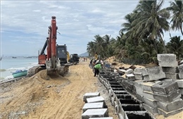 Phản hồi việc xử lý các vấn đề còn tồn tại do báo chí phản ánh