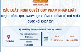 Các luật, nghị quyết quy phạm pháp luật được thông qua tại Kỳ họp không thường lệ thứ Nhất, Quốc hội khóa XVI
