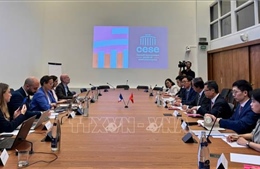 Tăng cường trao đổi kinh nghiệm Việt Nam - Pháp về xây dựng chính sách công