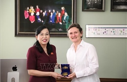 Thúc đẩy hợp tác nghị viện Việt Nam - Anh về khoa học, công nghệ và đổi mới sáng tạo