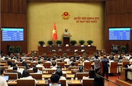 Kỳ họp thứ Nhất, Quốc hội khóa XVI: Thông qua nghị quyết về thuế tiêu thụ đặc biệt đối với xăng, dầu và nhiên liệu bay