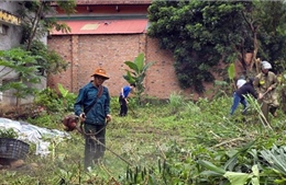 Gia Lai chủ động ứng phó và kiểm soát dịch bệnh sốt xuất huyết
