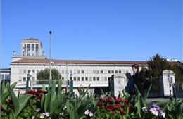 Thụy Sĩ kêu gọi WTO đoàn kết giải quyết bất đồng