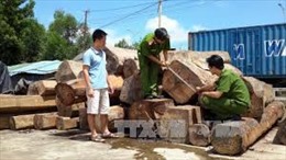 Việt Nam nói &#39;không&#39; với gỗ bất hợp pháp