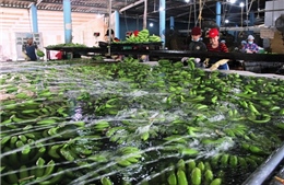 Doanh nghiệp trông đợi môi trường kinh doanh ít rủi ro và chi phí thấp