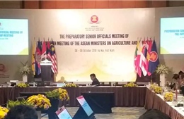 ASEAN hợp tác với Trung Quốc, Nhật Bản, Hàn Quốc về nông lâm nghiệp