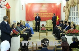 Chủ tịch nước Trần Đại Quang thăm Đại sứ quán Việt Nam tại Ai Cập 