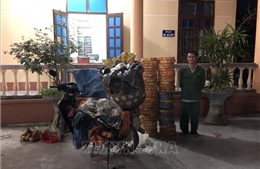 Bắt giữ đối tượng vận chuyển lượng lớn pháo nổ trái phép  