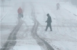 Mỹ hủy 1.240 chuyến bay vì bão tuyết có sức gió 80km/h