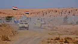 Iraq tiến hành chiến dịch xuyên biên giới chống IS ở Syria 