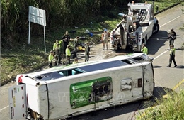 Lật xe buýt tại New Zealand, nhiều du khách Trung Quốc thiệt mạng 